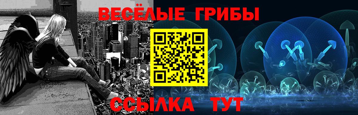 Псилоцибиновые грибы Psilocybine cubensis  Вход с VPN  Уссурийск 